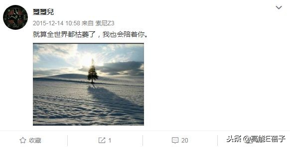 孟庭苇谈婚姻状况,孟庭苇离婚后的生活