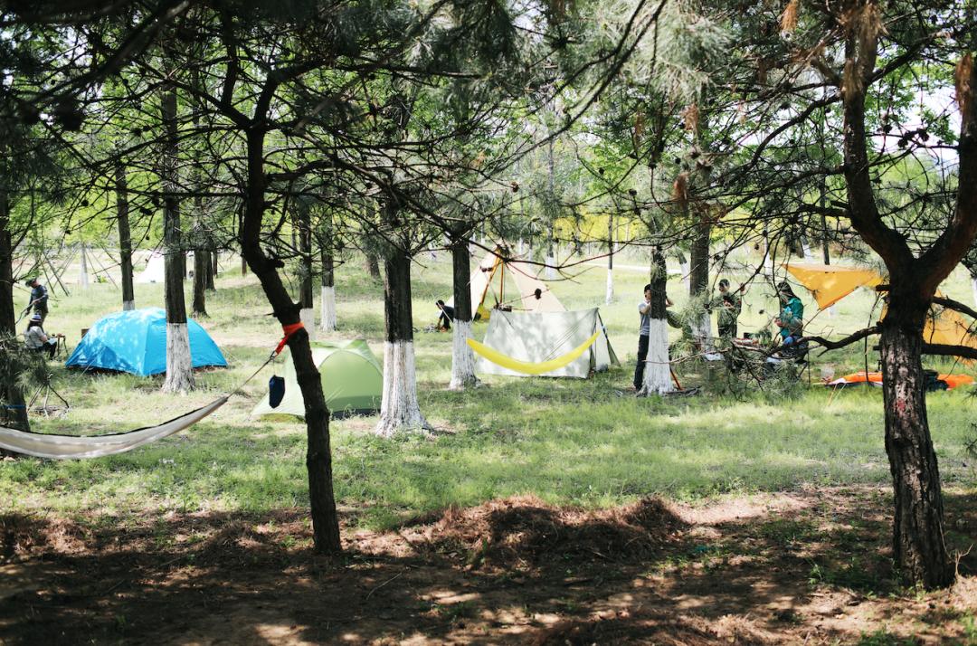 bushcraft技巧,bushcraft新技巧