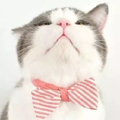 姝︽眽鑻变鸡灏忓眿,姝︽眽鏈夊効绔ヨ鏂界殑鎴胯溅钀ュ湴