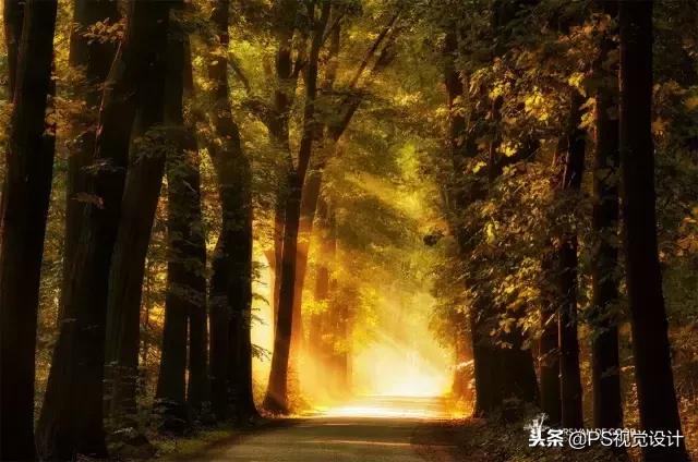 色彩知识整理,讲得最透彻的色彩知识