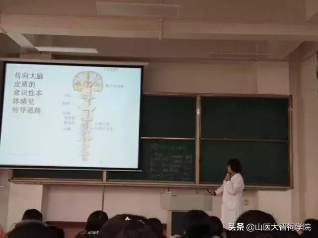想要成为一名医生需要考多少证,想要做一个医生必须具备哪些