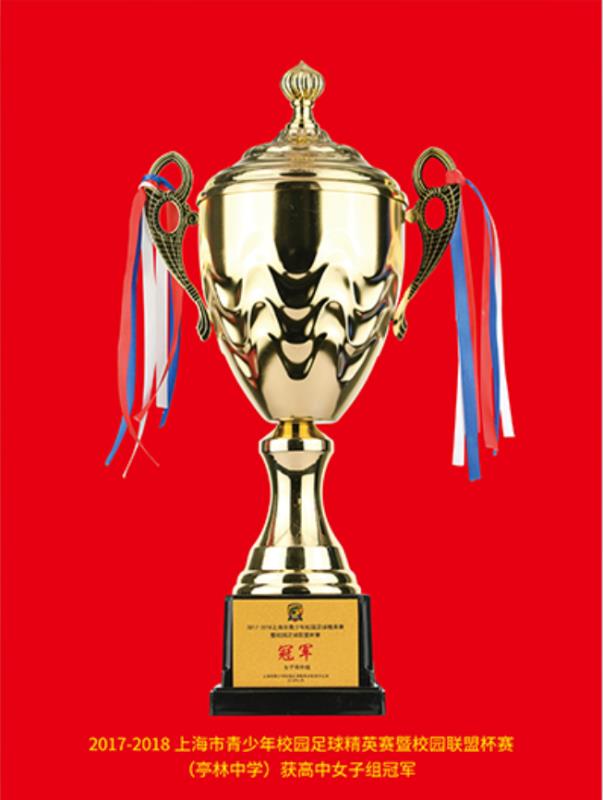 嘉定区青少年足球训练,朝阳区青少年足球训练