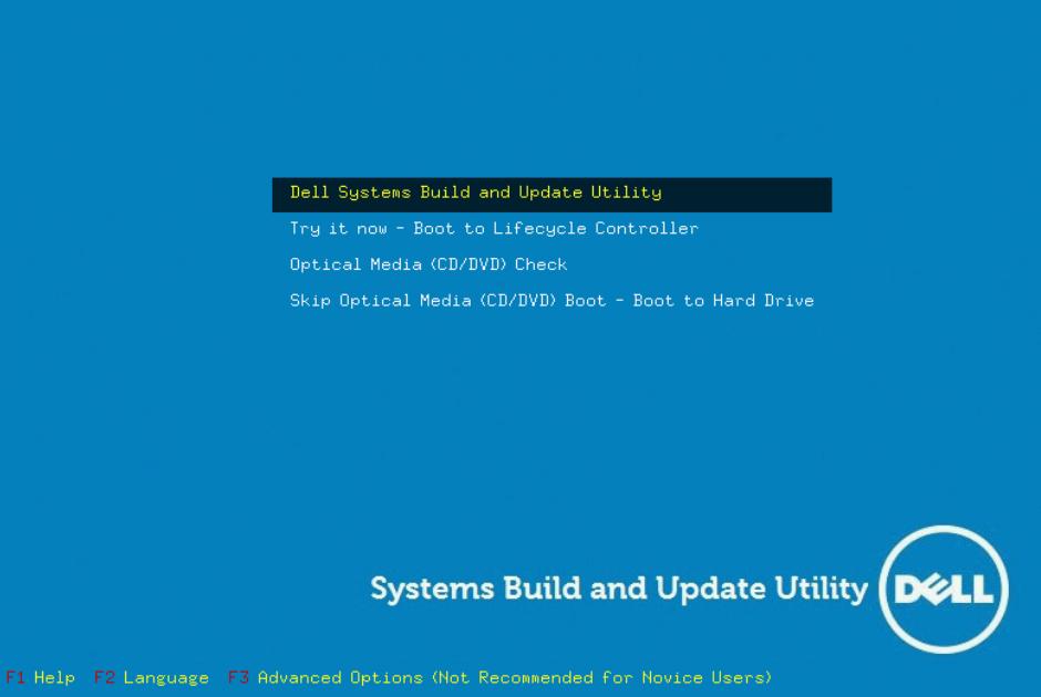dell服务器安装win系统教程,dell服务器win10系统安装光盘