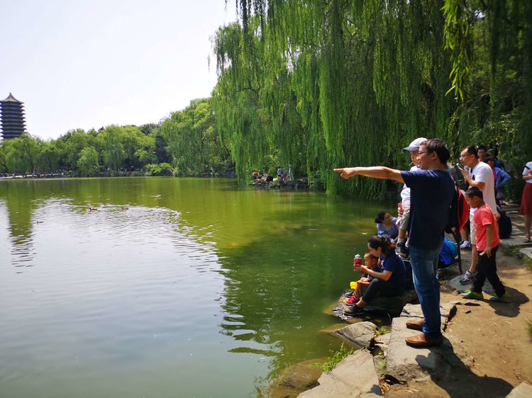 漫步北大校园,北大印象图片