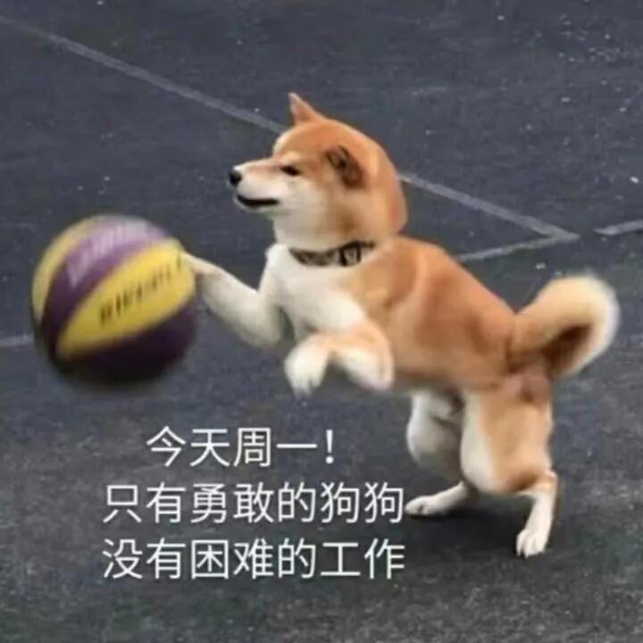 打工这辈子是不会打工的表情包,打工是不可能打工的表情包原图