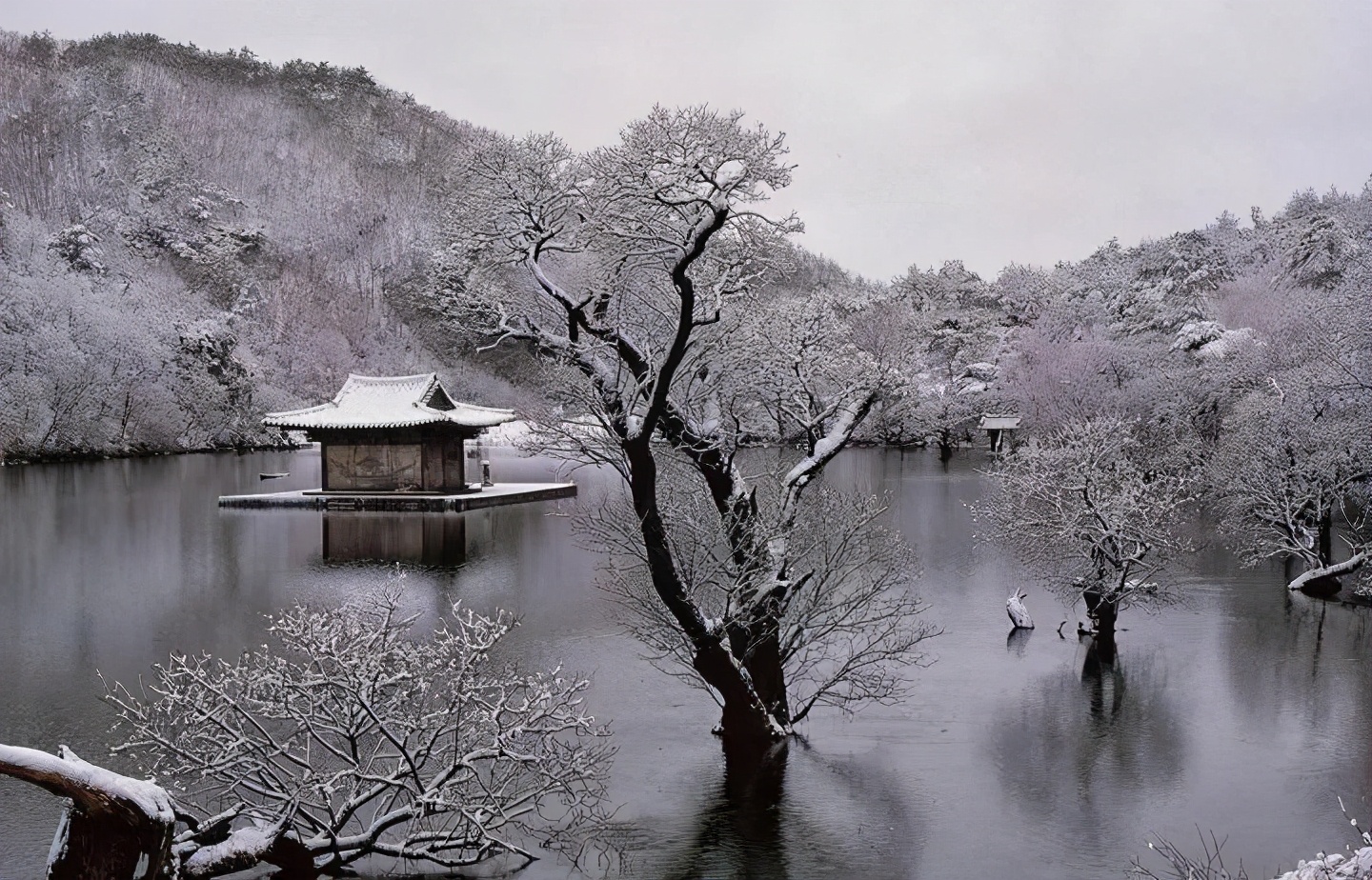 40句意境超美古诗词李白,四季美景的诗句李白