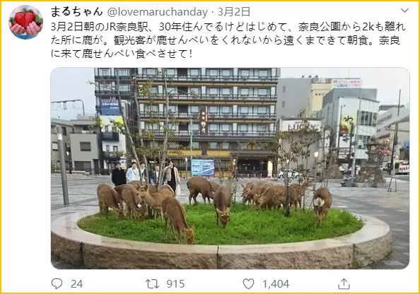 少了中国游客，整个生态圈都乱了