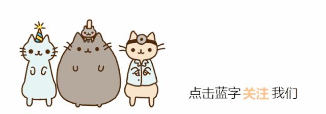 哺乳期的猫咪能不能驱虫,哺乳期的猫咪能不能吃西瓜