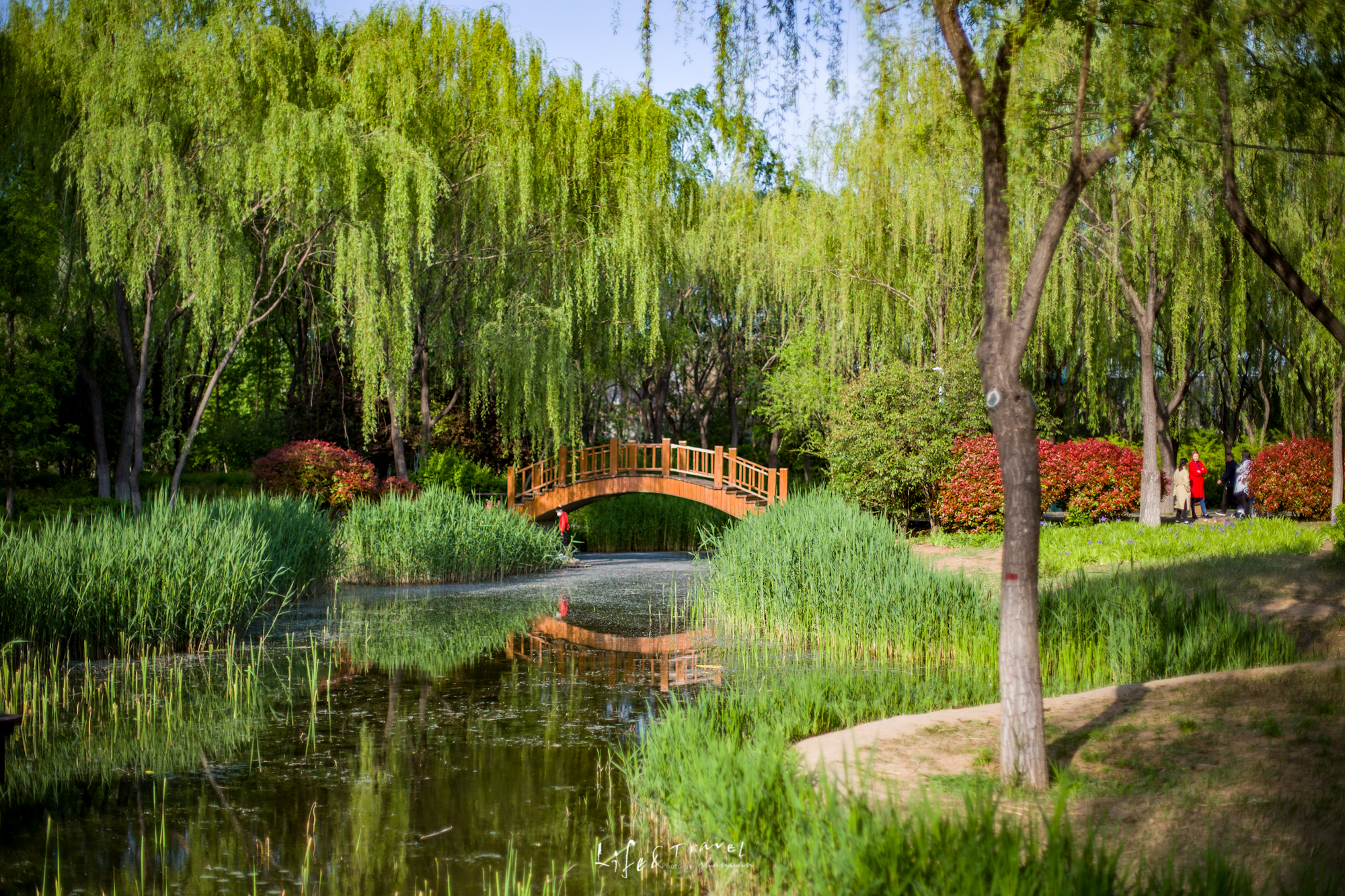 济南适合去的花海公园,济南春季公园有哪些景点