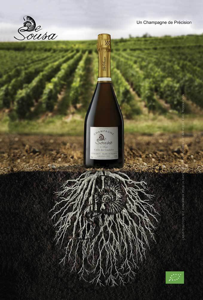 法国香槟区酒庄价格排名,法国最值得去的景点排名