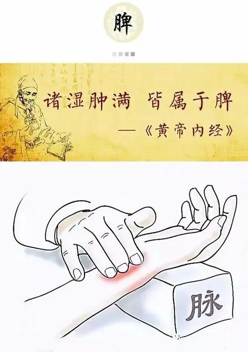 五苓散治疗全身水肿成功案例,五苓散治下肢水肿