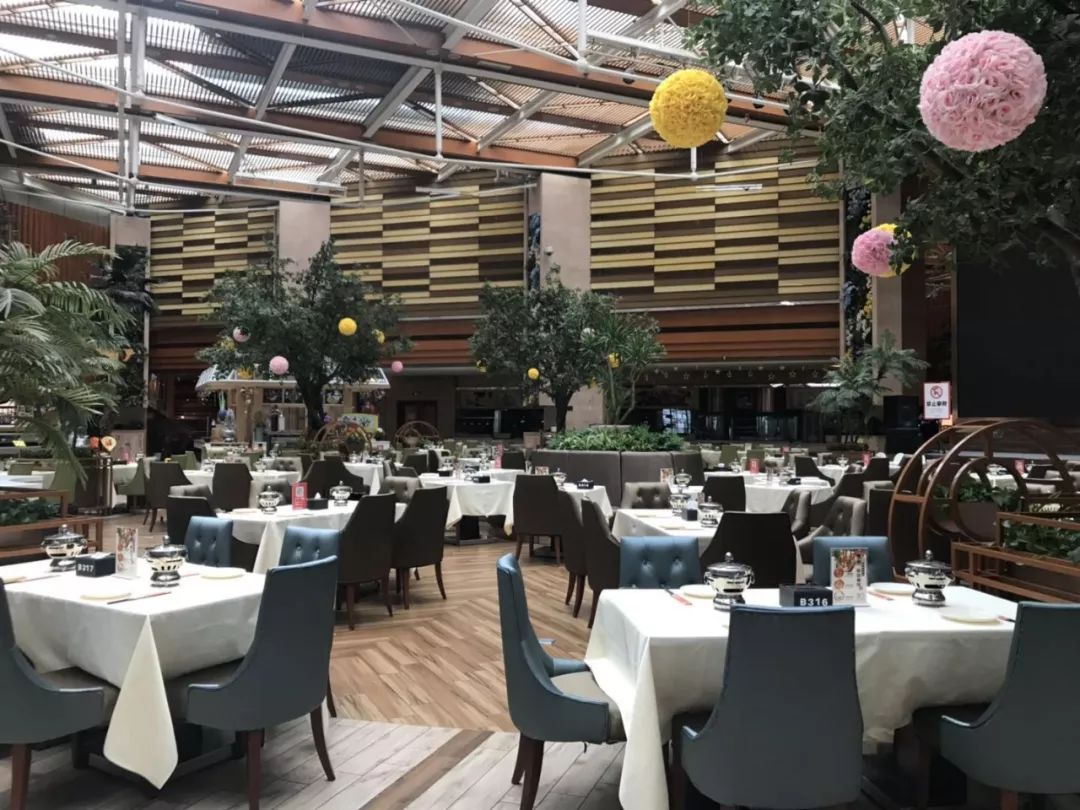 成都海鲜自助餐499元一个,成都生蚝吃到饱自助餐