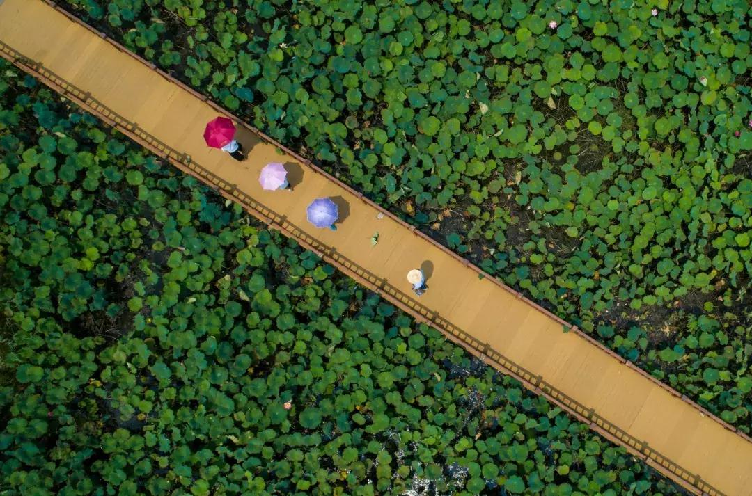 瀹胯縼鍗佷簩鏃惰景浜笢,瀹胯縼鍗佷簩鏃惰景瑙嗛