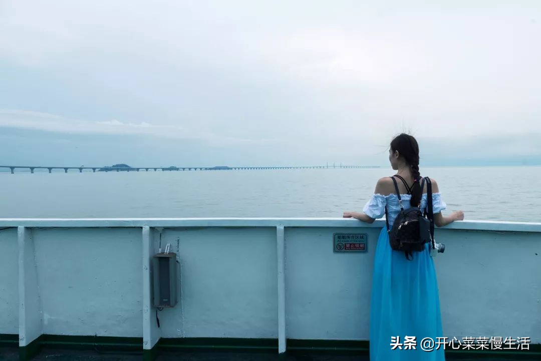 珠海第一座桥珠海大桥 (建造香港澳门珠海大桥花了几年)