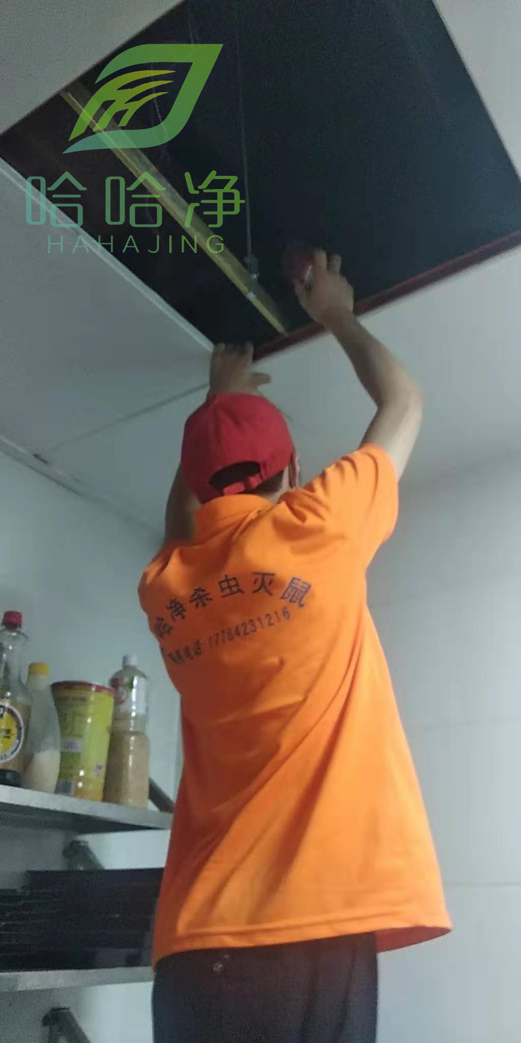 重庆除四害服务专业机构,重庆消杀除四害公司