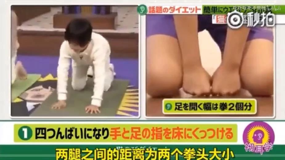 鏃ユ湰鑳栧閫嗚,鏃ユ湰鑳栧