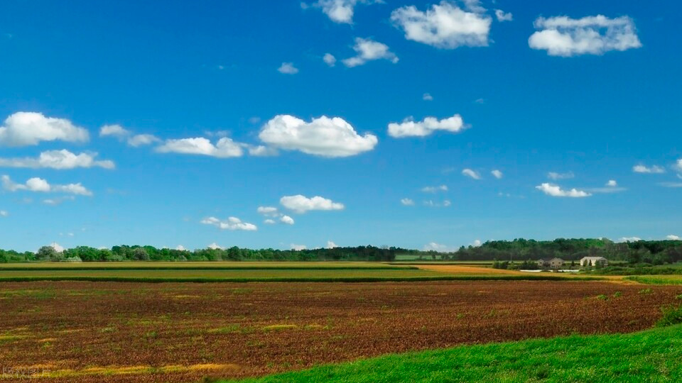 中衍期货公司官网,中衍期货账号查询