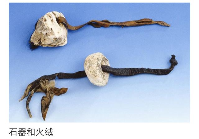 濂ュ吂鍐颁汉鏈В涔嬭皽,濂ヨ尐鍐颁汉姝诲洜