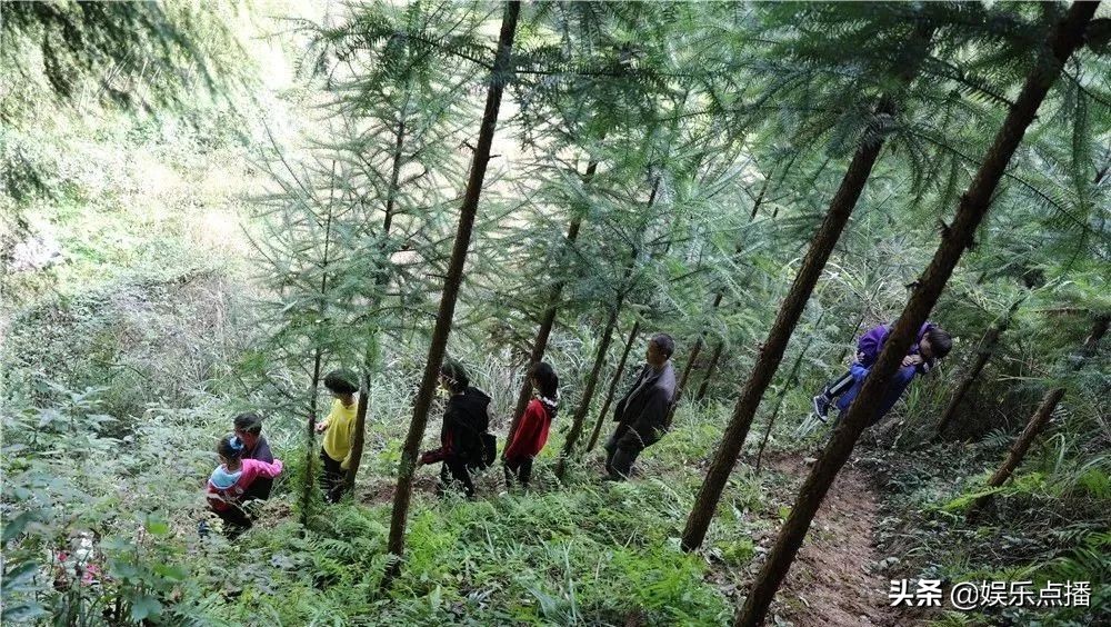 小明星美丽苗乡之旅，体验郭公坪风土人情，触发70.80.90儿时记忆