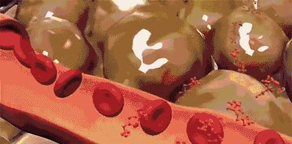 张蓝心瘦腿的方法,张蓝心的腿法图解