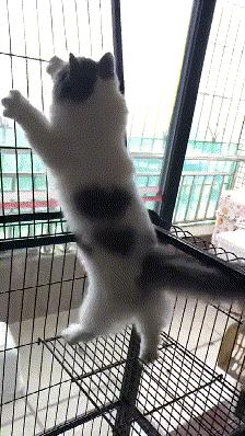 “哎……我怎么有点晕啊?”哈哈哈哈哈让人笑岔气的45个搞笑动图