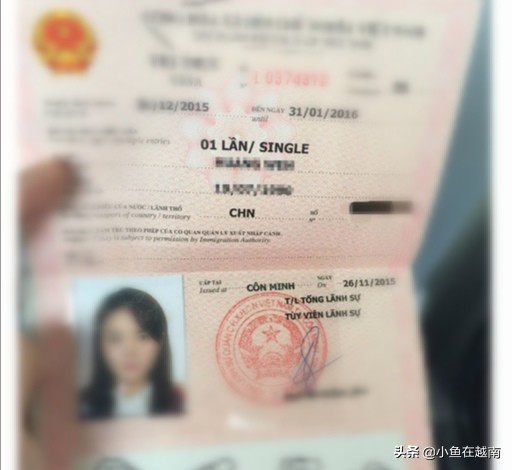 越南穷游自由行视频,越南穷游攻略10天多少钱