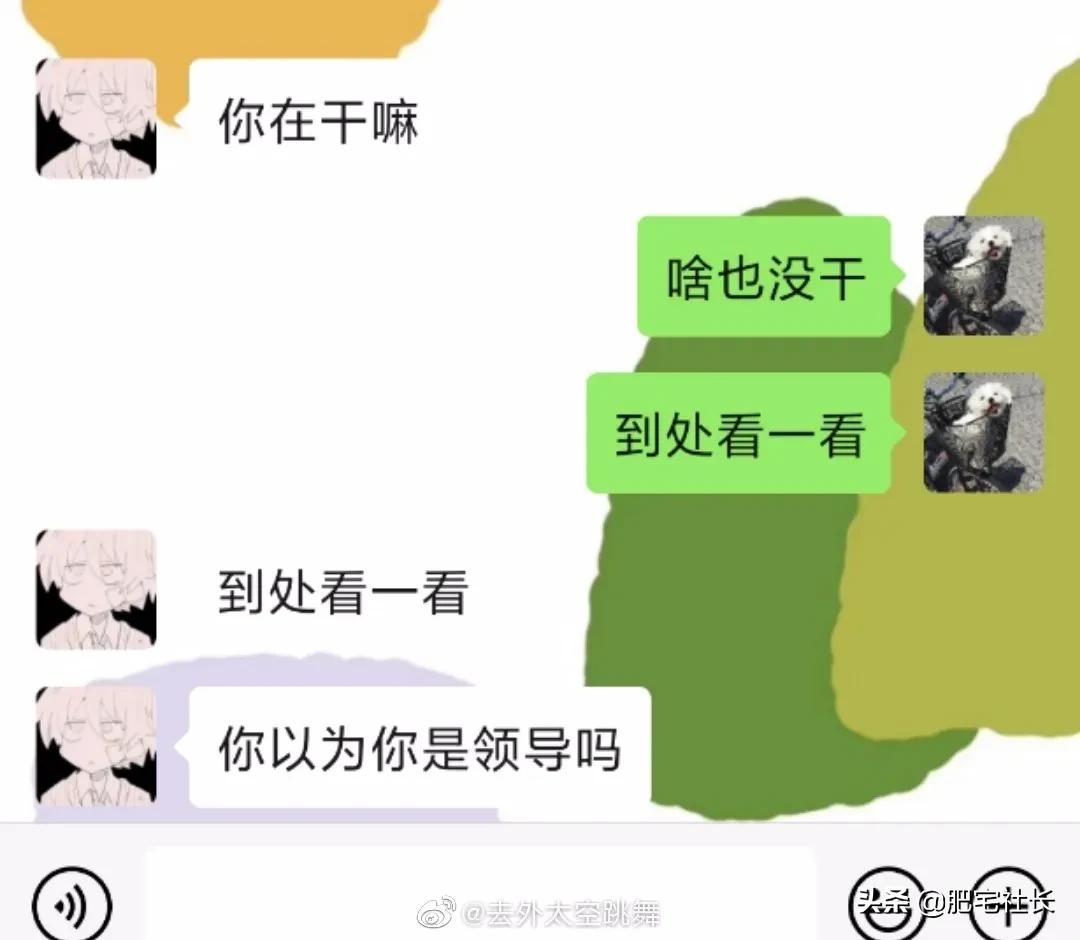 哪有什么所谓的钢铁直男直女,直男直女们内心有多钢铁