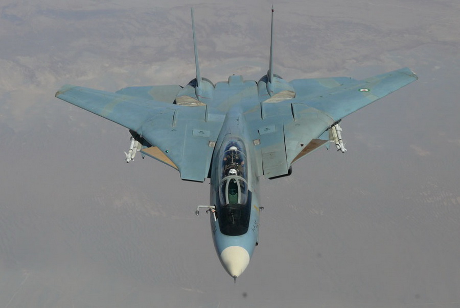 猫迷必备技能,F-14各型号的辨别