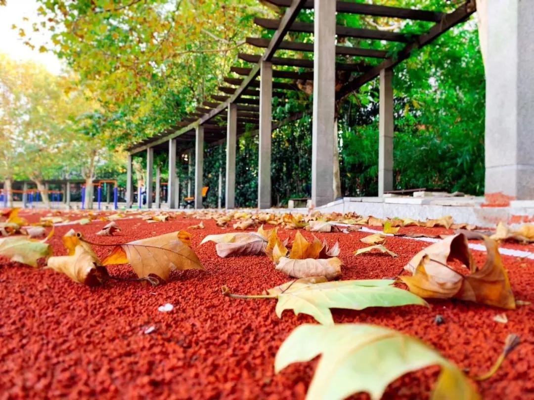 十三中分校老校区,十三中最好分校