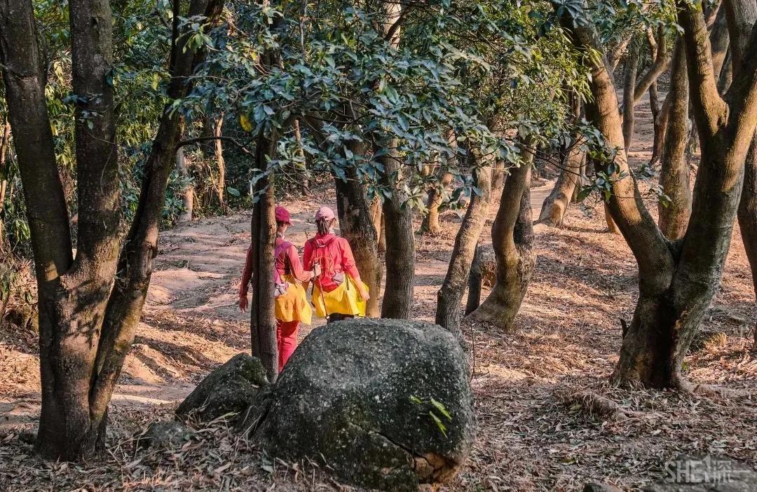 9号线上有什么景点吗,9号线游玩攻略大全