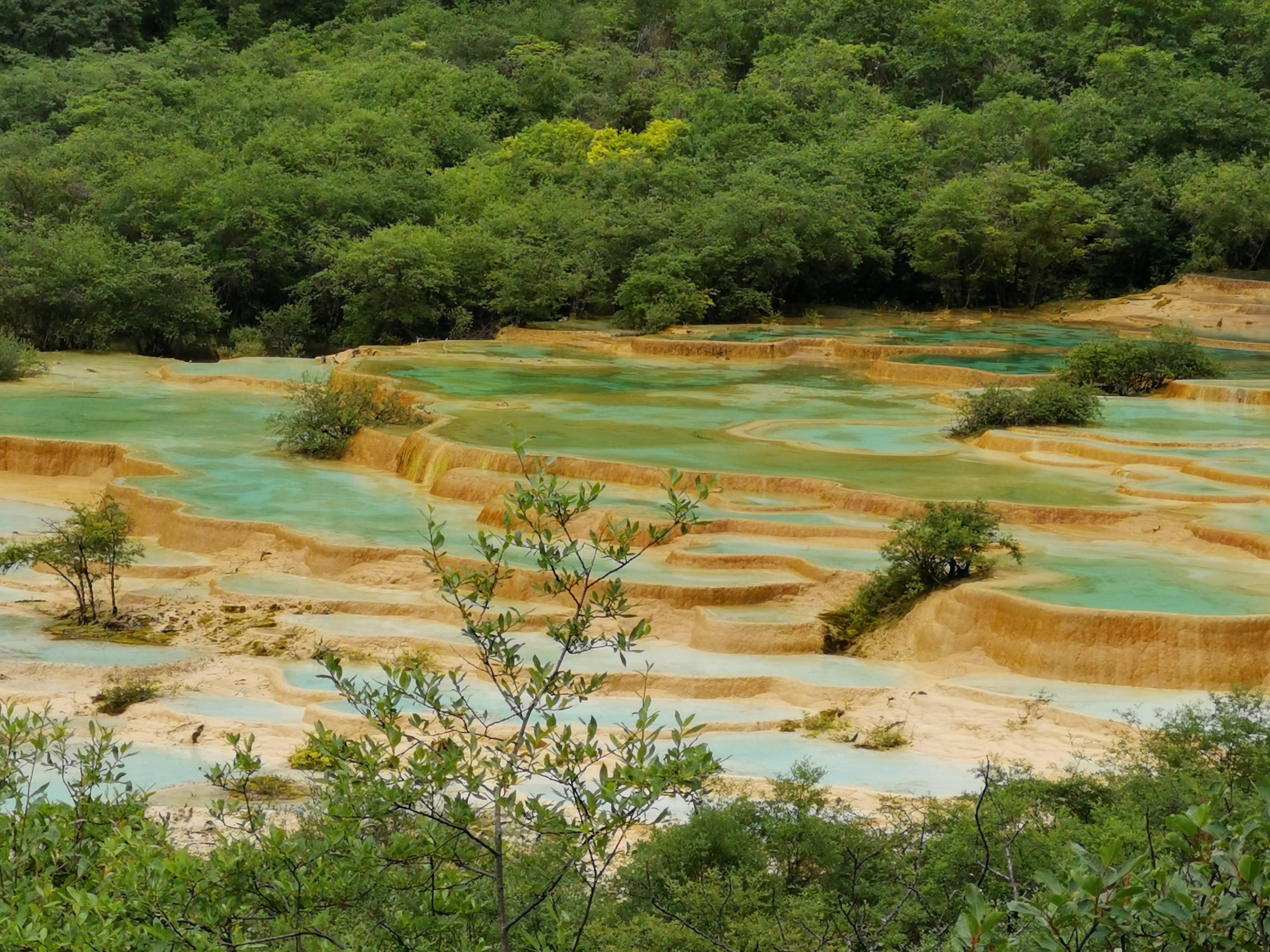 自驾游六——四川黄龙景区随笔
