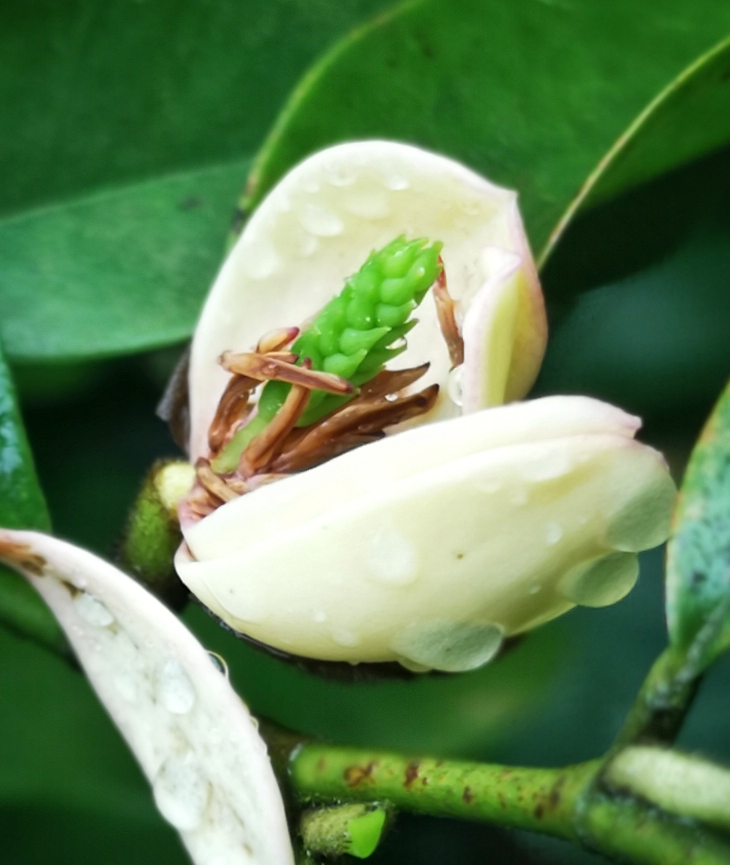 寻找身边的美丽身影,寻找身边美丽景色