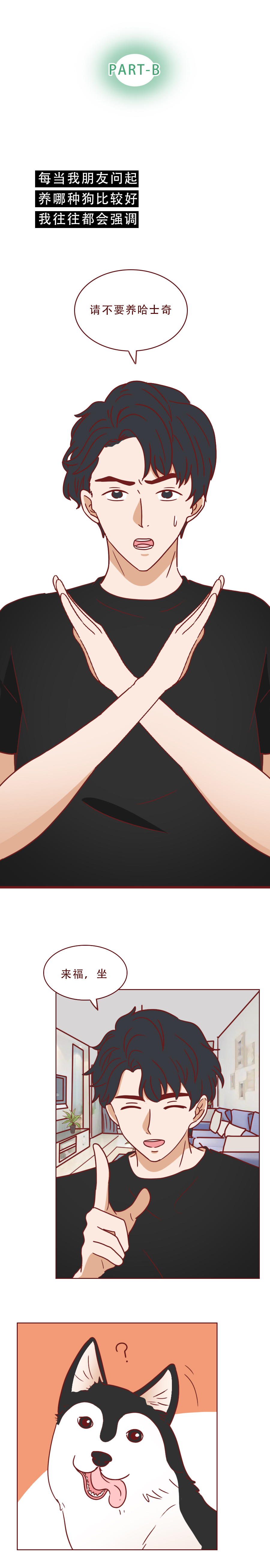 捡回来抑郁的猫,捡回一只小猫原居民抑郁了