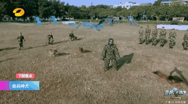 风水轮流转女明星,风水轮流转张馨予