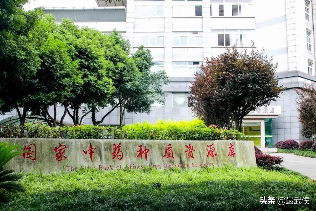 成都中医药大学,不能再低调了!