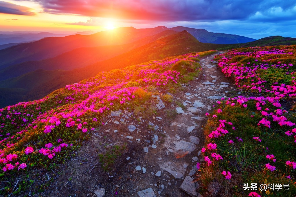 邂逅充满香草气息的森林，寻找美丽伊春的故事，出发吧