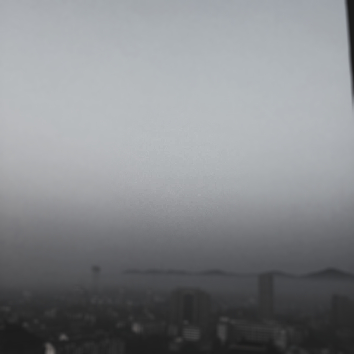 买一只股票十年不动能赚到钱吗,每个月花1000块钱买股票会怎么样