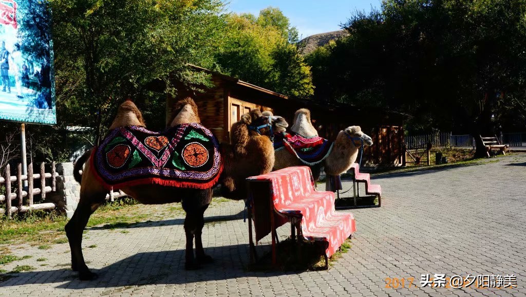 走进新疆天山天池真的美,天山天池之美
