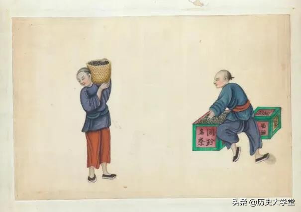 清朝的茶叶为什么是贸易品,清朝时期的茶叶贸易政策