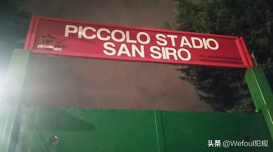 足球报专访张琳芃,意大利记者张恺个人资料