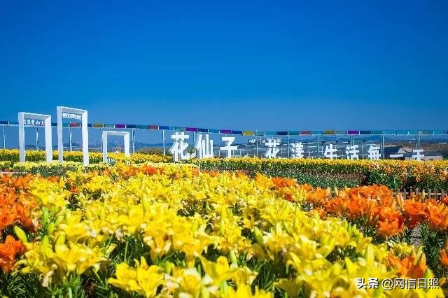 日照金山,日照旅游攻略