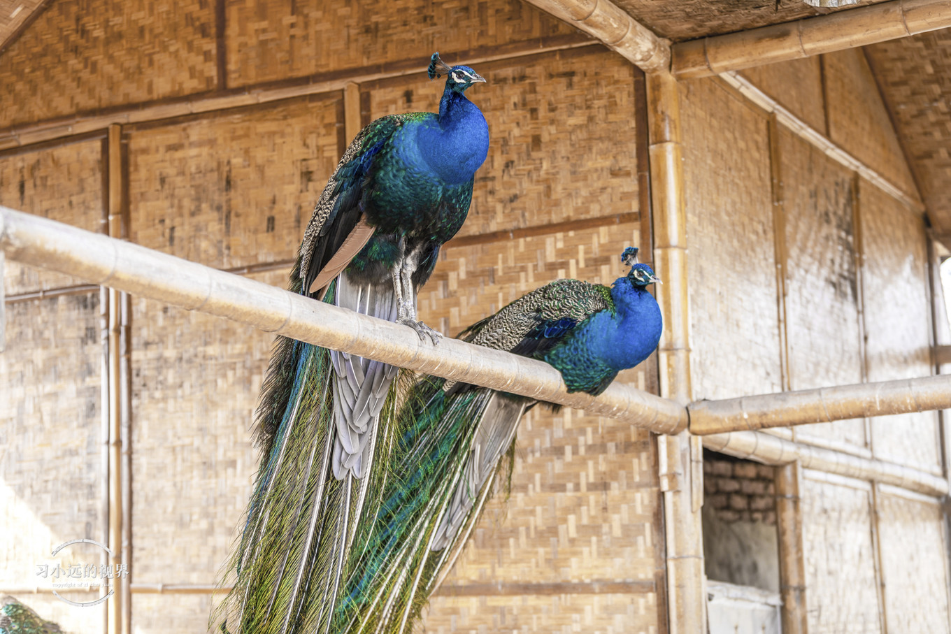 合肥到万佛山万佛湖旅游攻略,合肥自驾千岛湖旅游攻略2天一晚