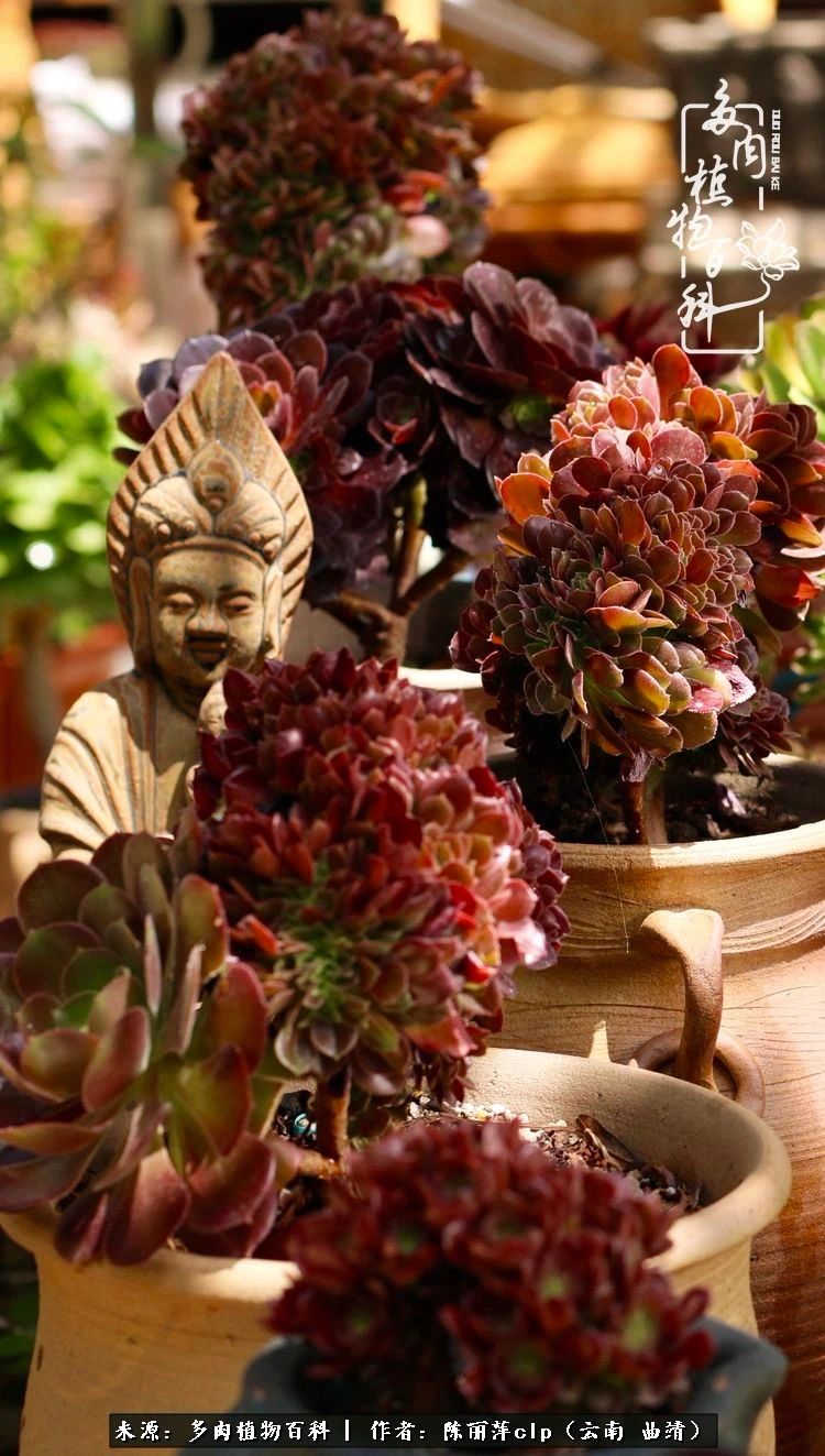 佛系看风景的地方,佛系风景空境视频