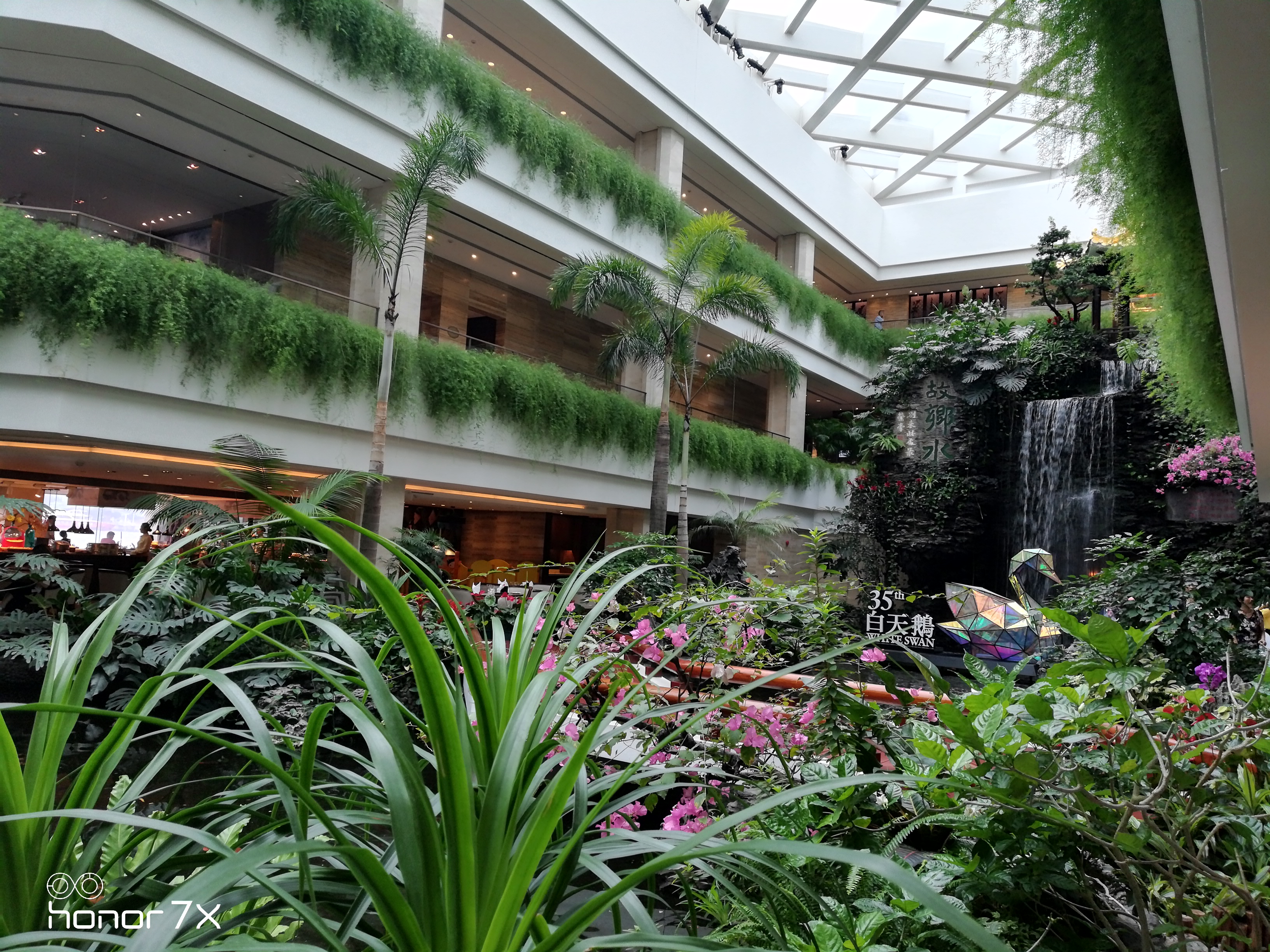 广州市白天鹅宾馆五星级酒店,白天鹅宾馆早茶价目表