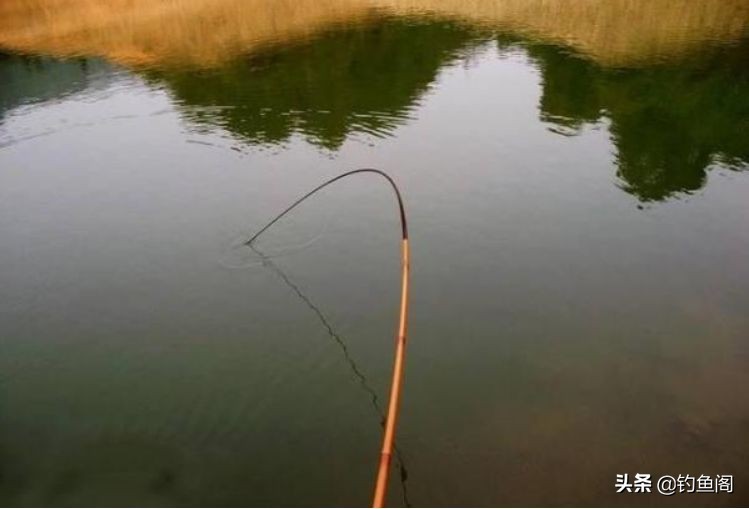 钓鱼如何用长竿子钓大鱼,短竿钓鱼小技巧和注意事项