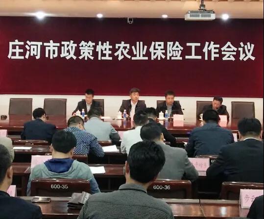 大连庄河这个城市怎么样,大连庄河前景如何