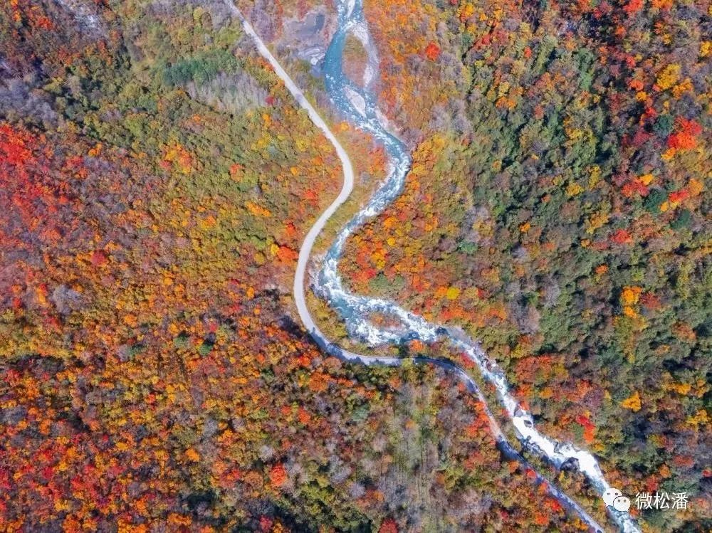 松潘之秋，品一场醇美的色彩盛宴