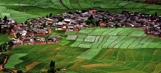 全国十大名茶旅游地,中国十大茶旅