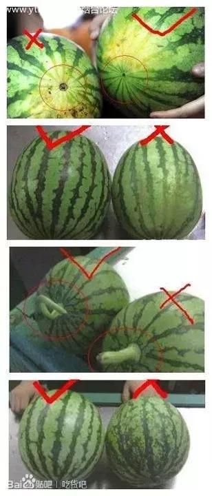 是吃货就得必备这个小技巧,吃货必看的100个小技巧