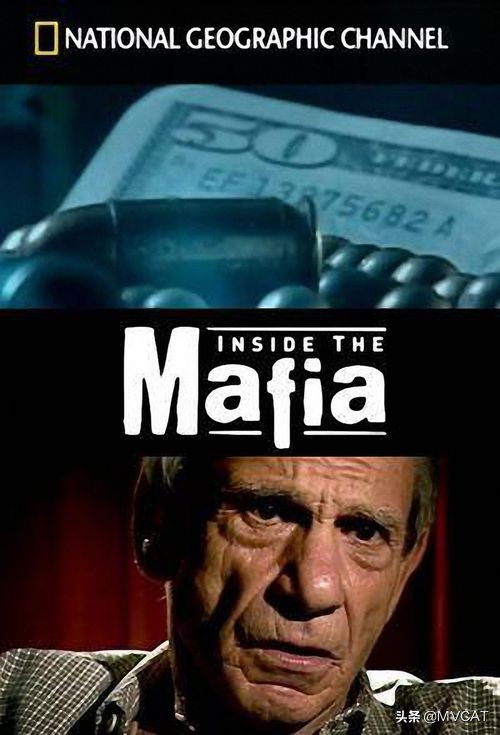 推荐几部电影黑帮片,世界公认最好的十部黑帮片电影